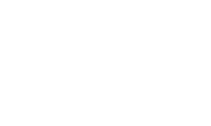 Bridges Logo in white for download.